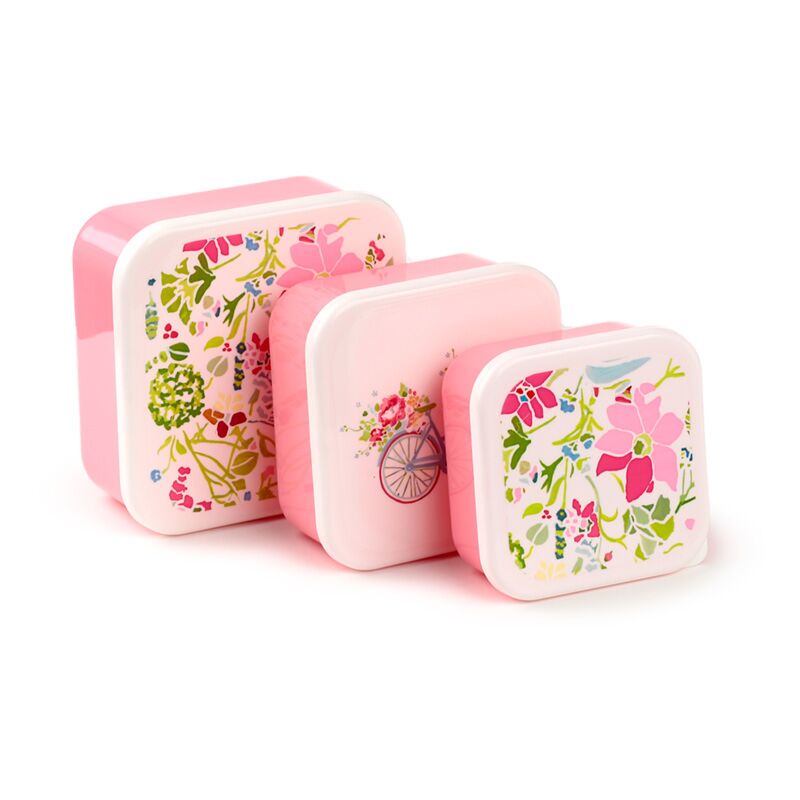 Set 3 lunchbox ml xl - julie dodsworth roze botanisch