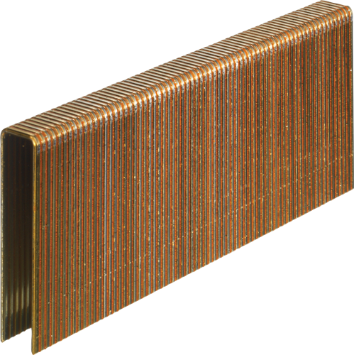 Senco n-nieten 50mm galva ted (10000st)