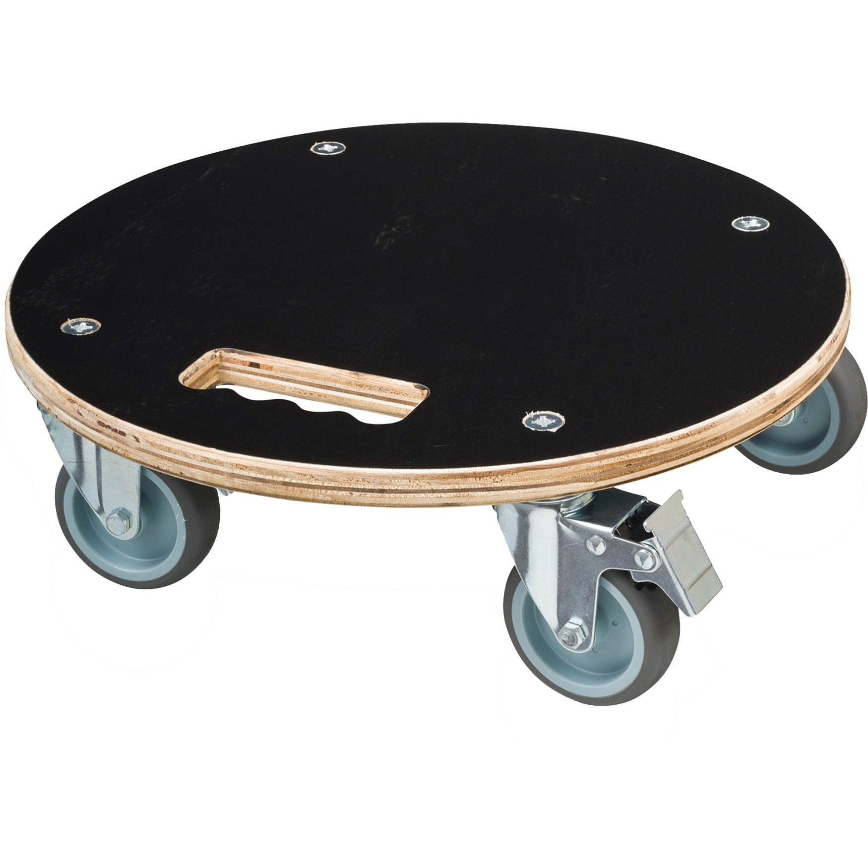 Natuur Natuur Plantenwagen rond