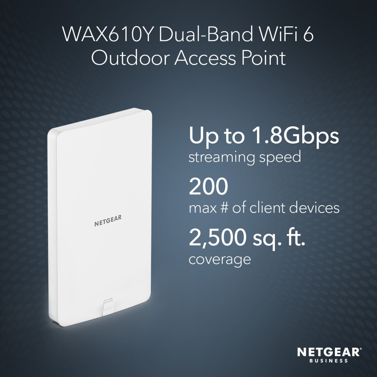 Netgear Netgear WAX610Y