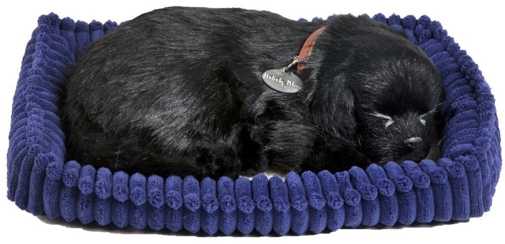 Perfect Petzzz Zachte Zwarte Lab