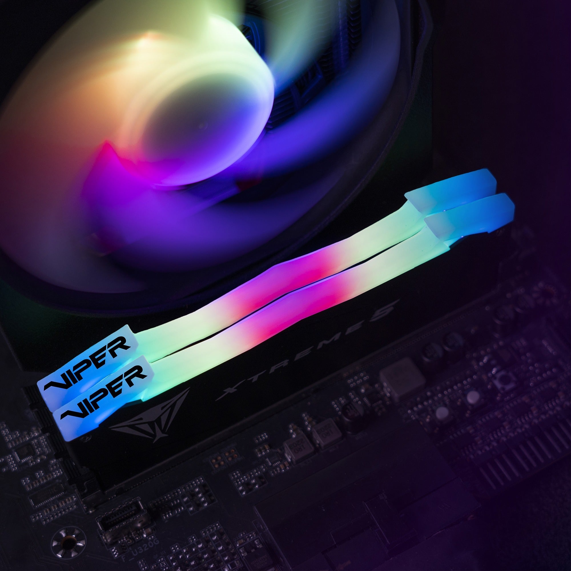 Patriot Patriot 32 GB DDR5-8000-kit