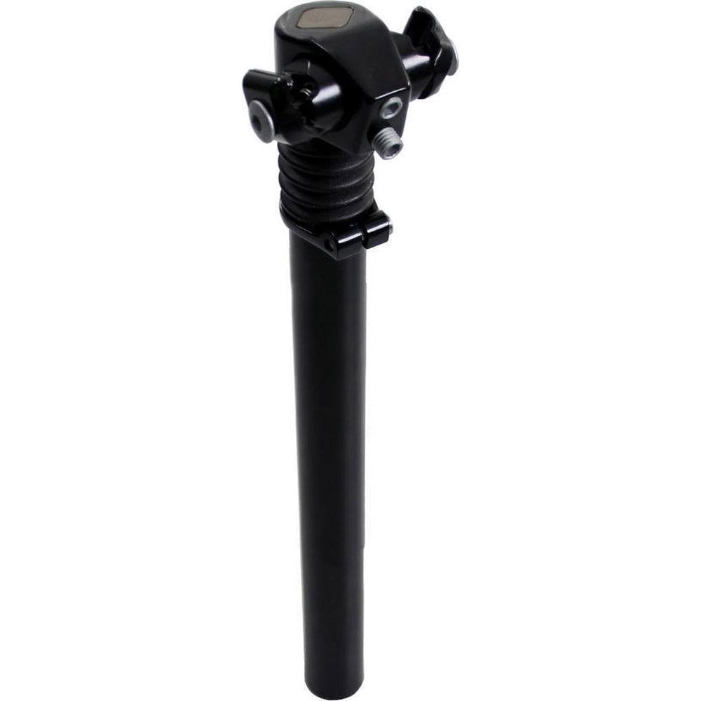 geveerde zadelpen ATB, 2 bouts bevestiging. 27,2zwart 300mm