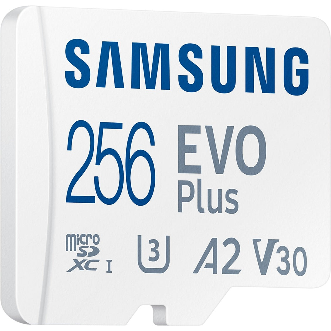 SAMSUNG SAMSUNG EVO Plus microSDXC (2024), 256 GB