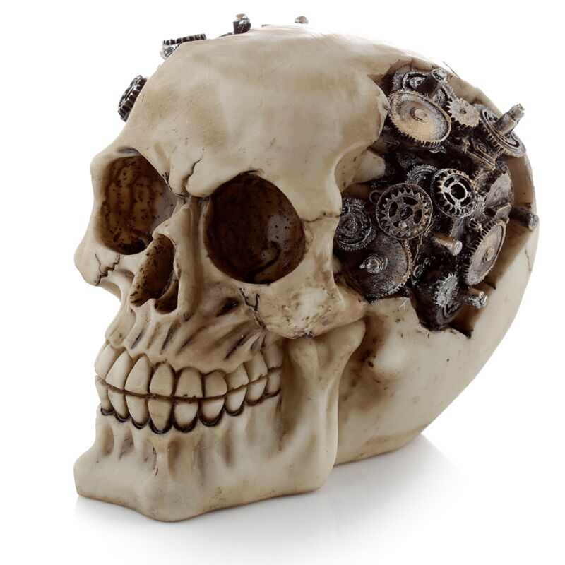 Steampunk-stijl schedel met tandwielen woonaccessoire