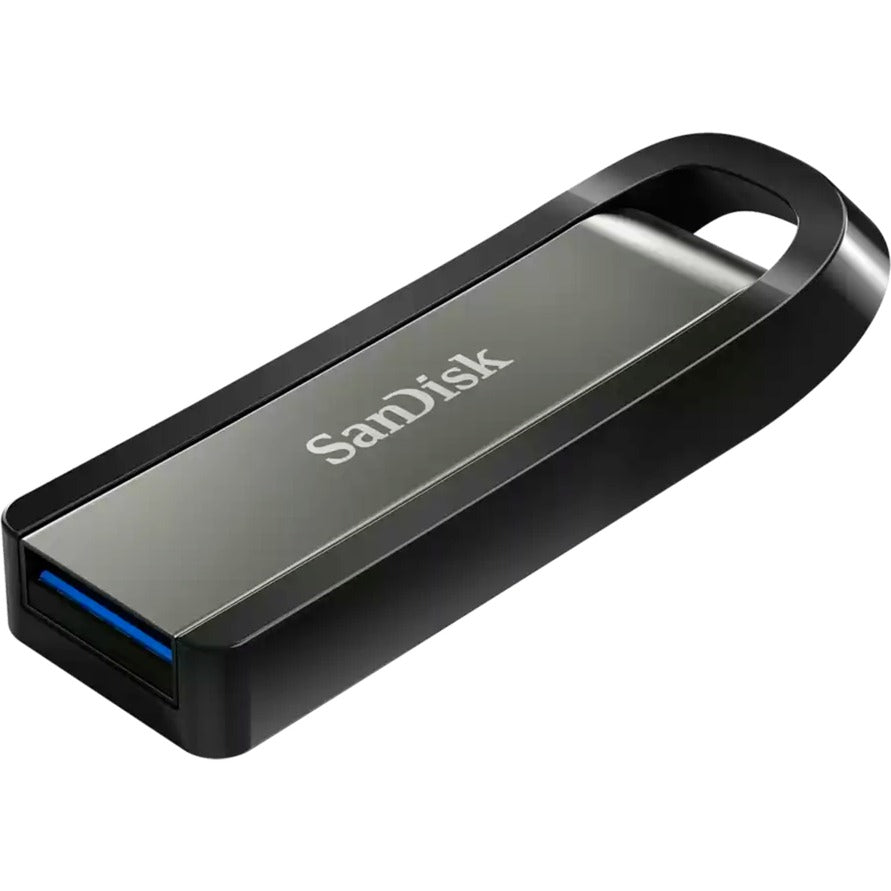 SanDisk Go 256 GB