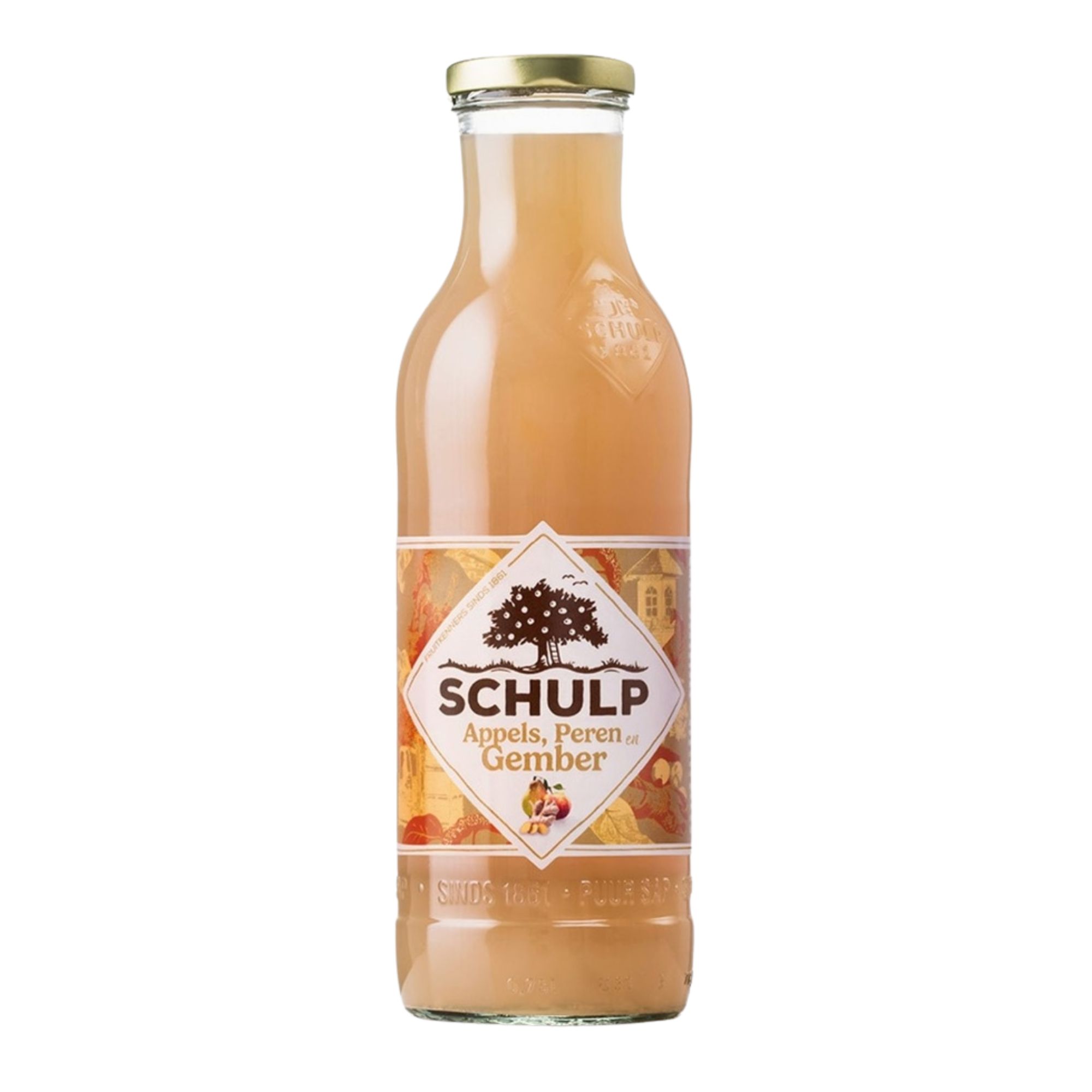 Schulp appel peer gember (6x 0,75 liter)