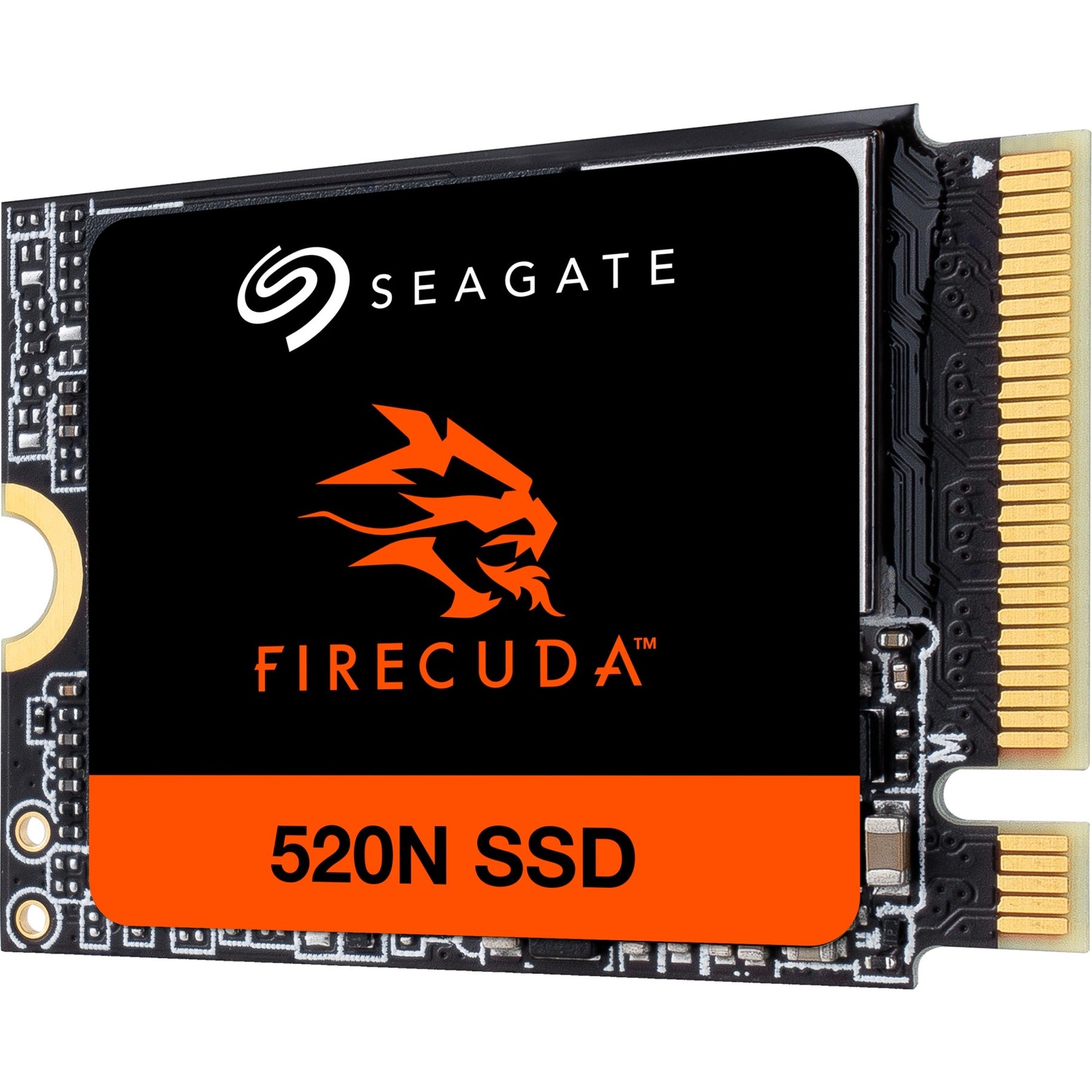 Seagate Seagate FireCuda 520N 1 TB