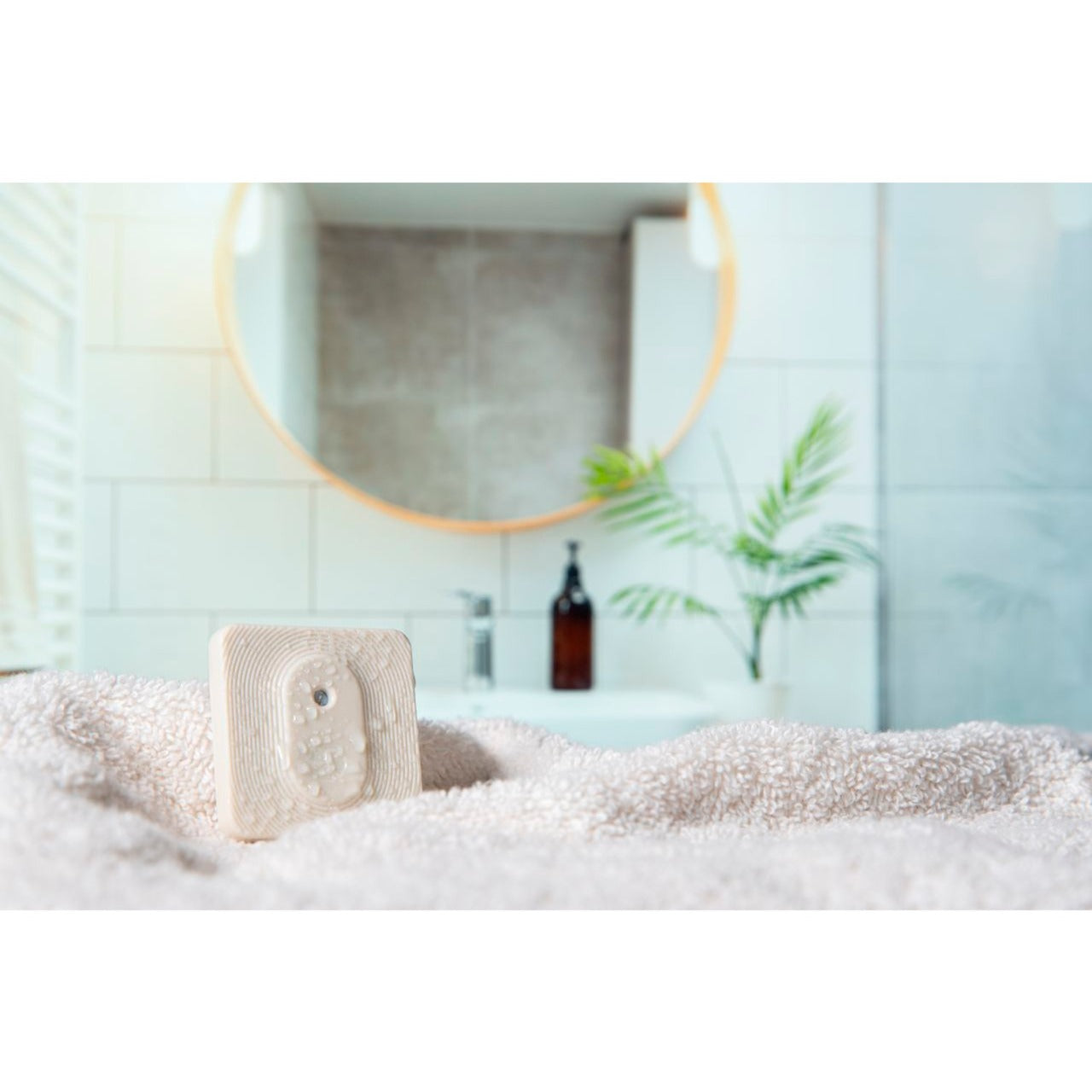 Shelly Shelly BLU HT