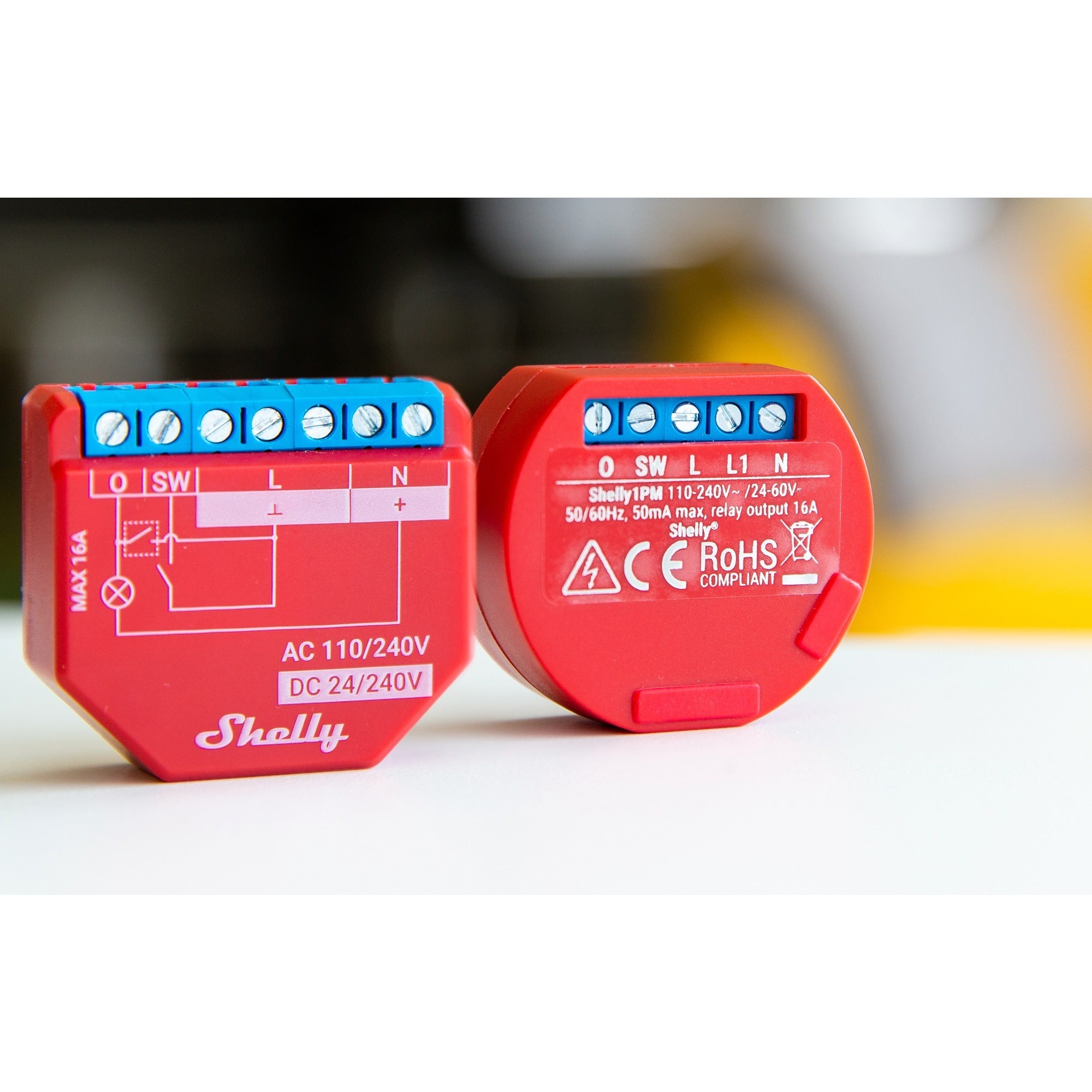 Shelly Shelly Plus 13:00 uur