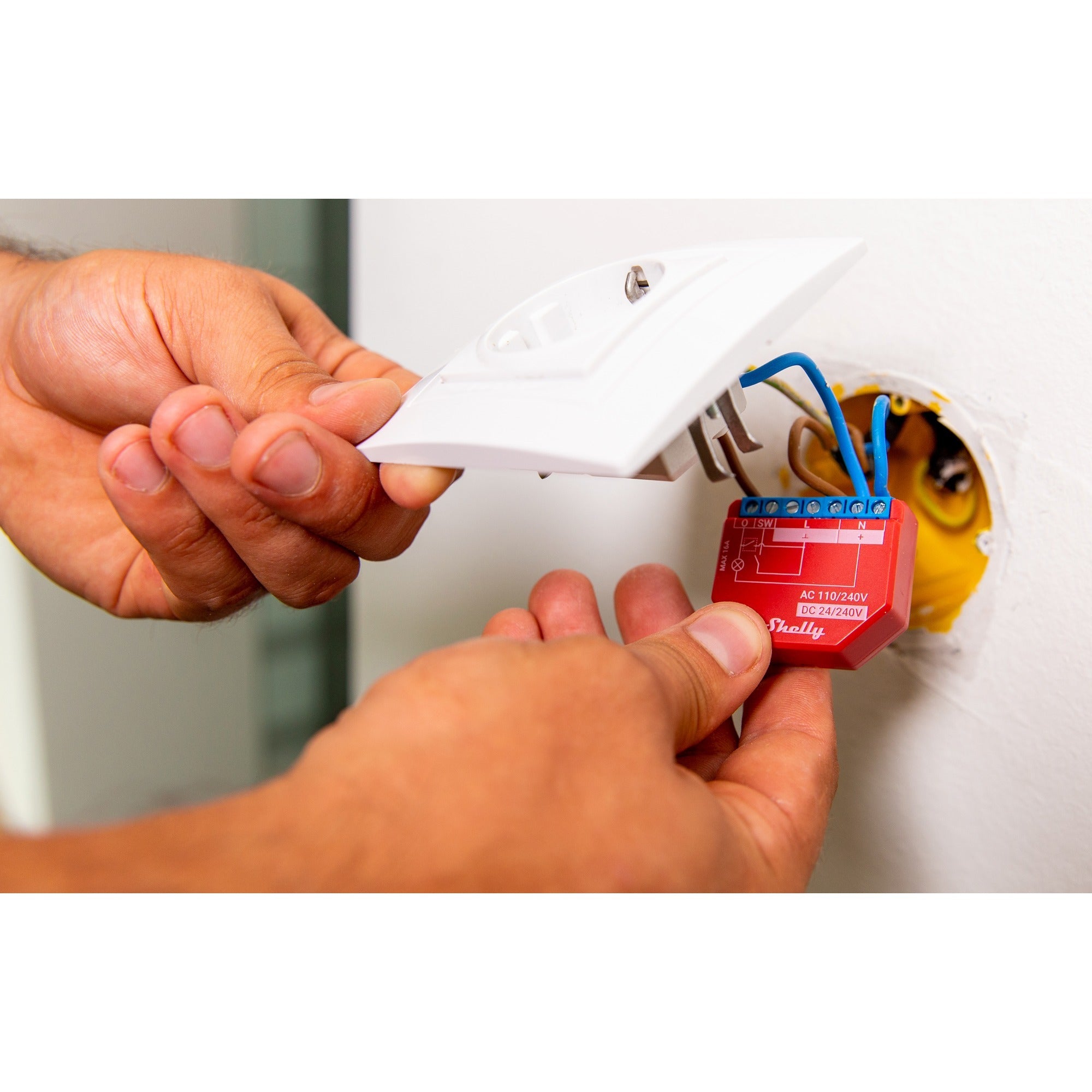 Shelly Shelly Plus 13:00 uur