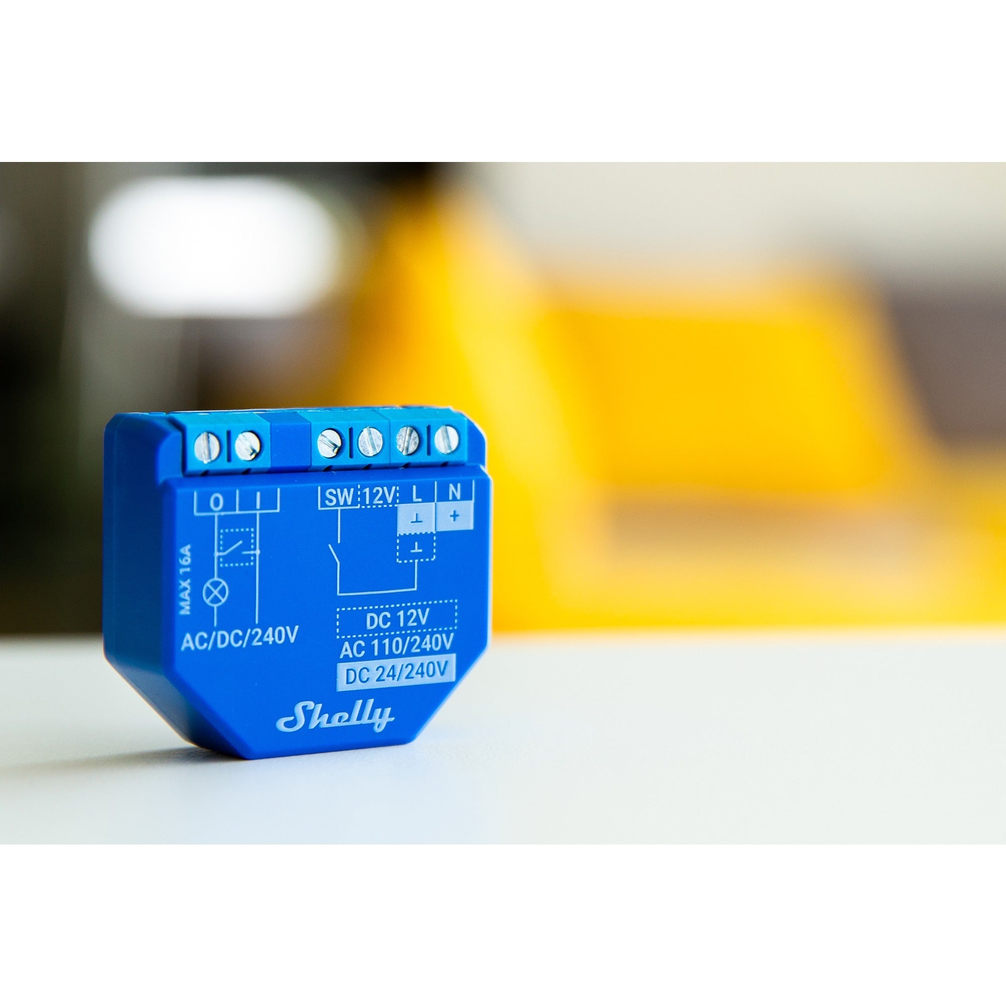 Shelly Shelly Plus 1