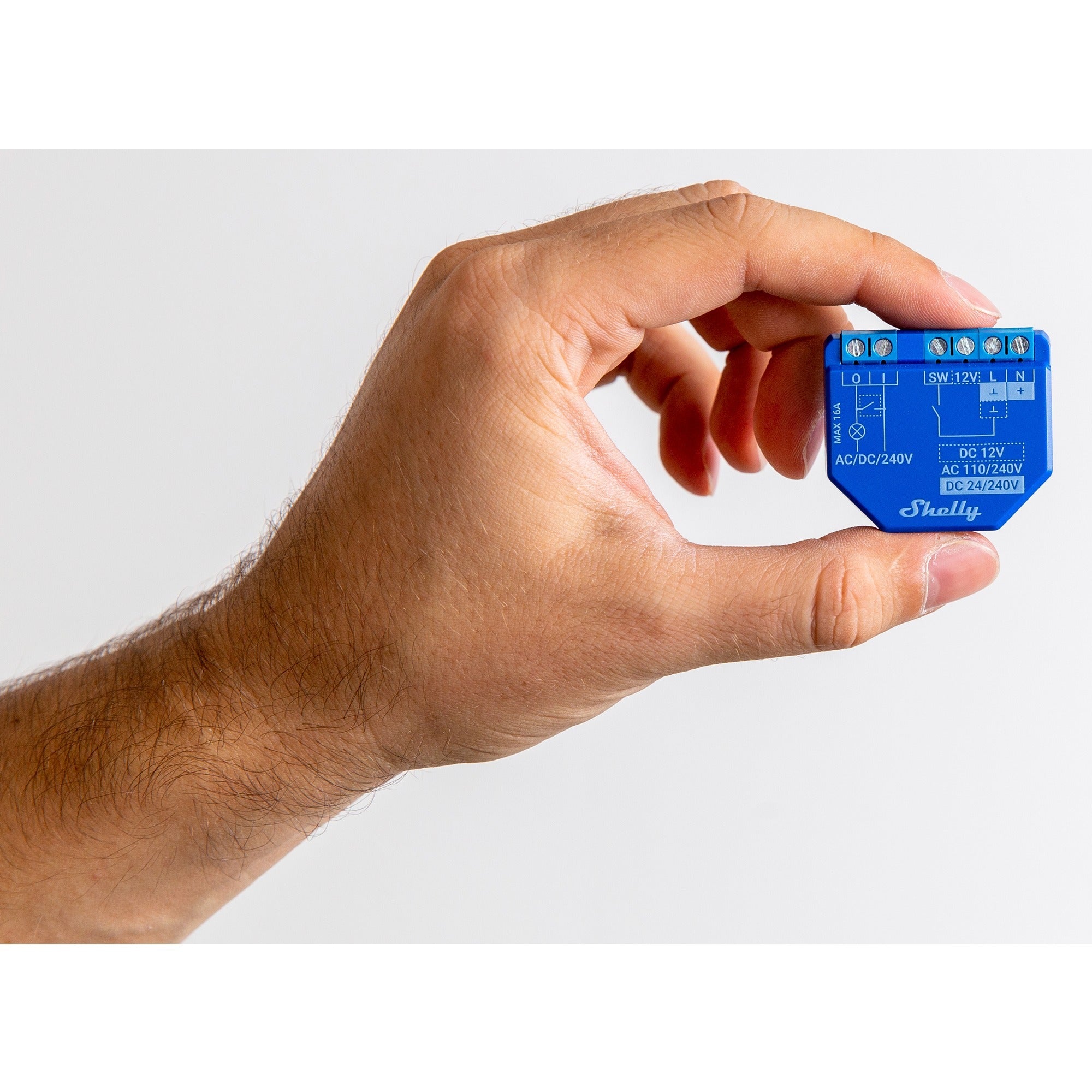 Shelly Shelly Plus 1