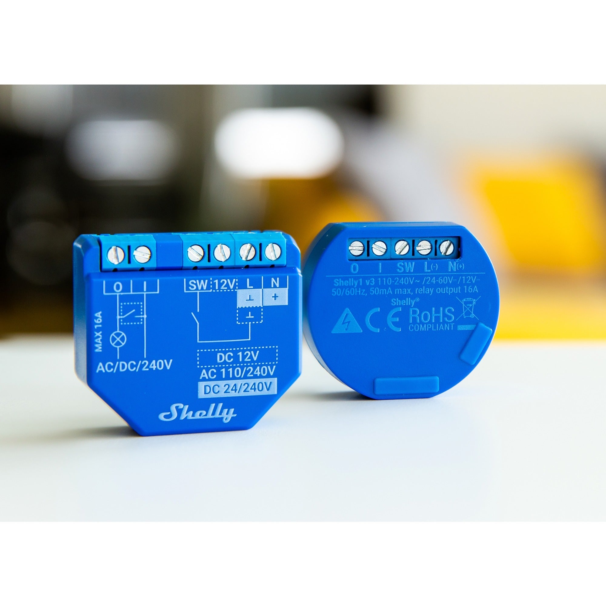 Shelly Shelly Plus 1