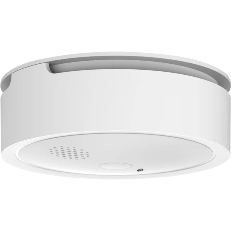 Shelly Shelly Plus Rook