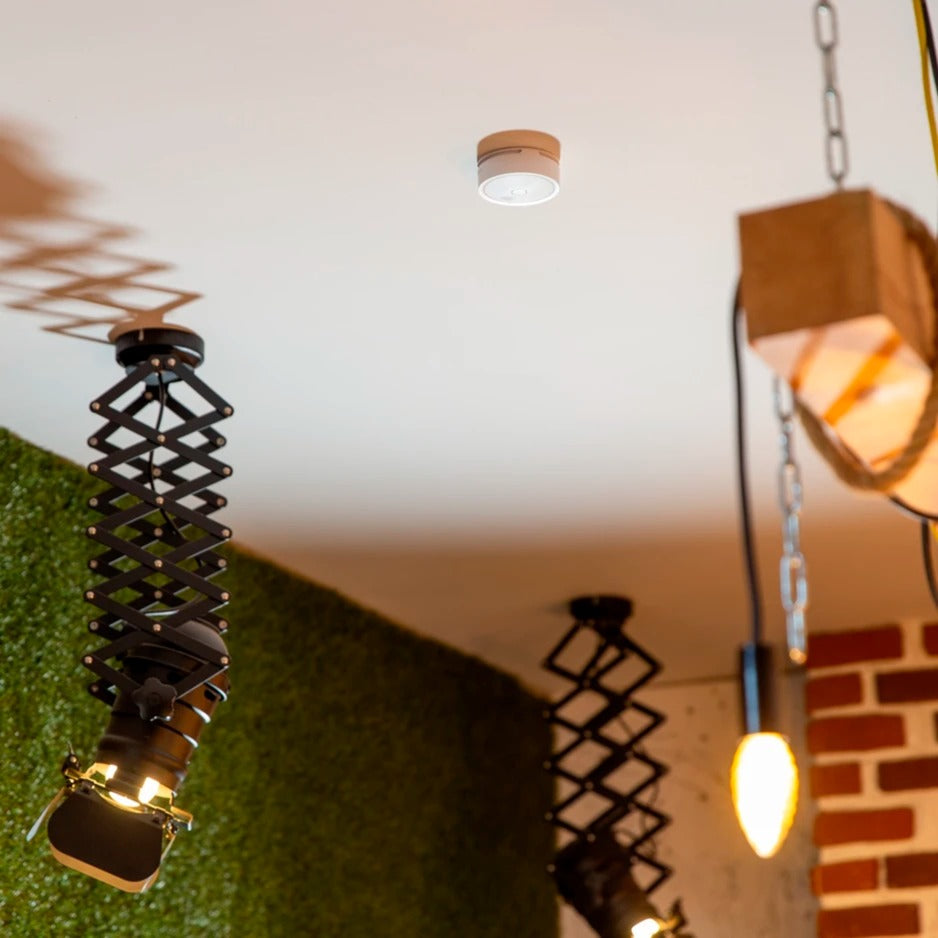 Shelly Shelly Plus Rook