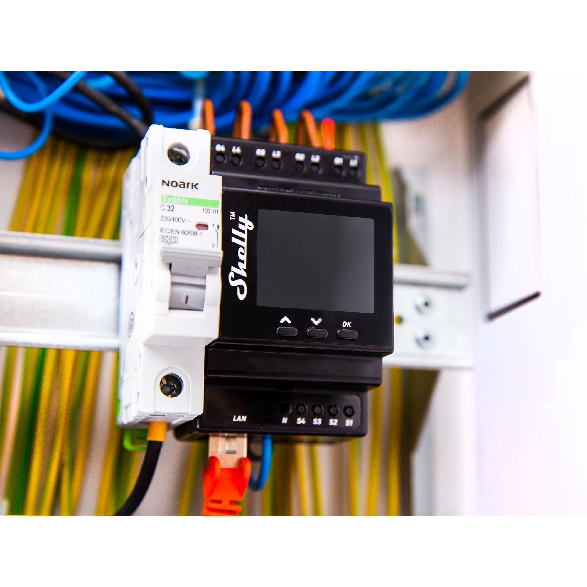 Shelly Shelly 16.00 uur