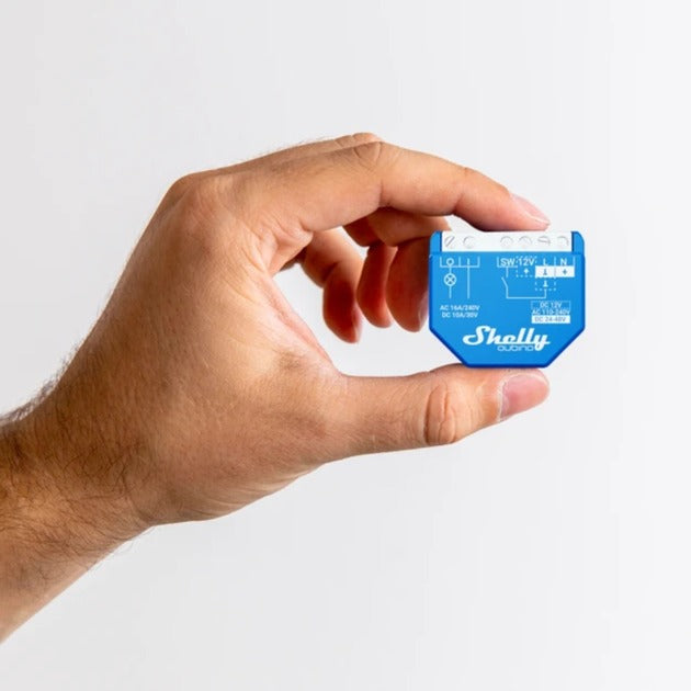 Shelly Shelly Qubino Golf 1