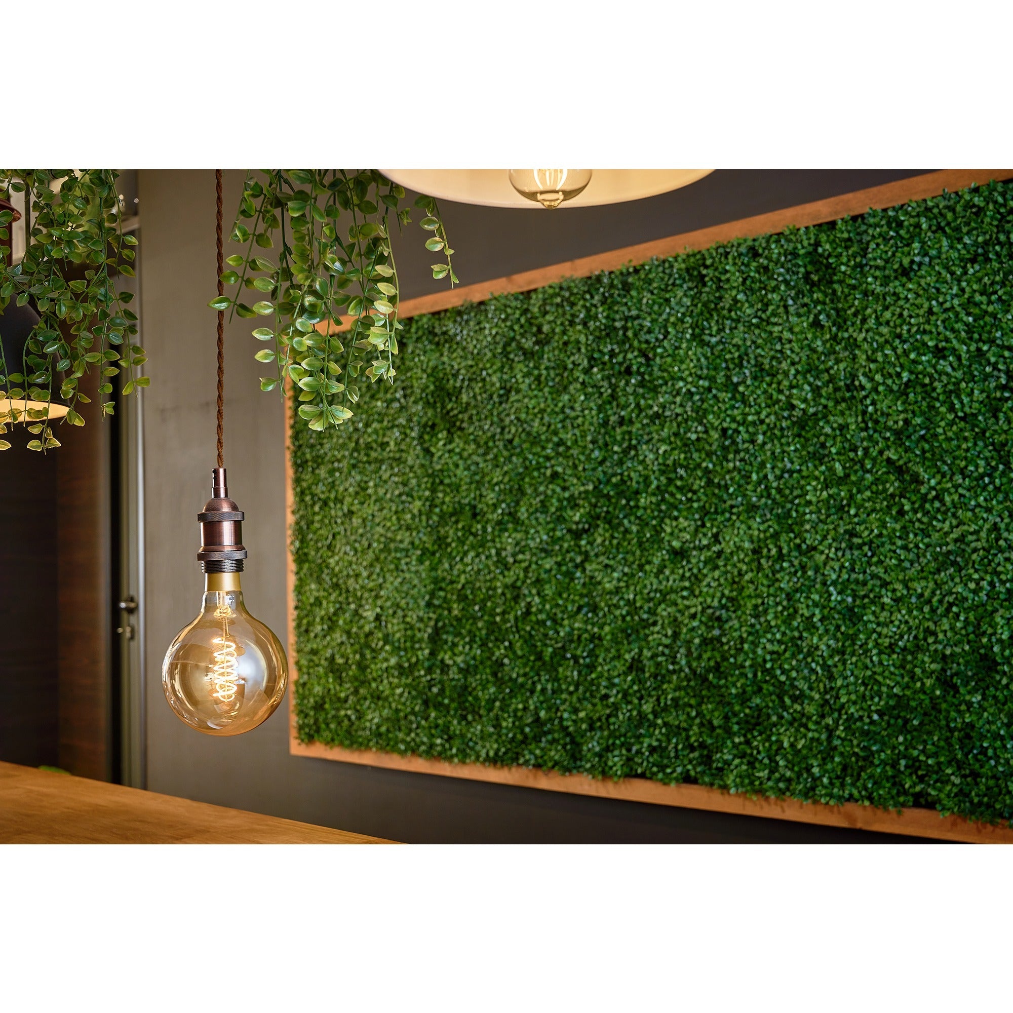 Shelly Shelly Vintage G125