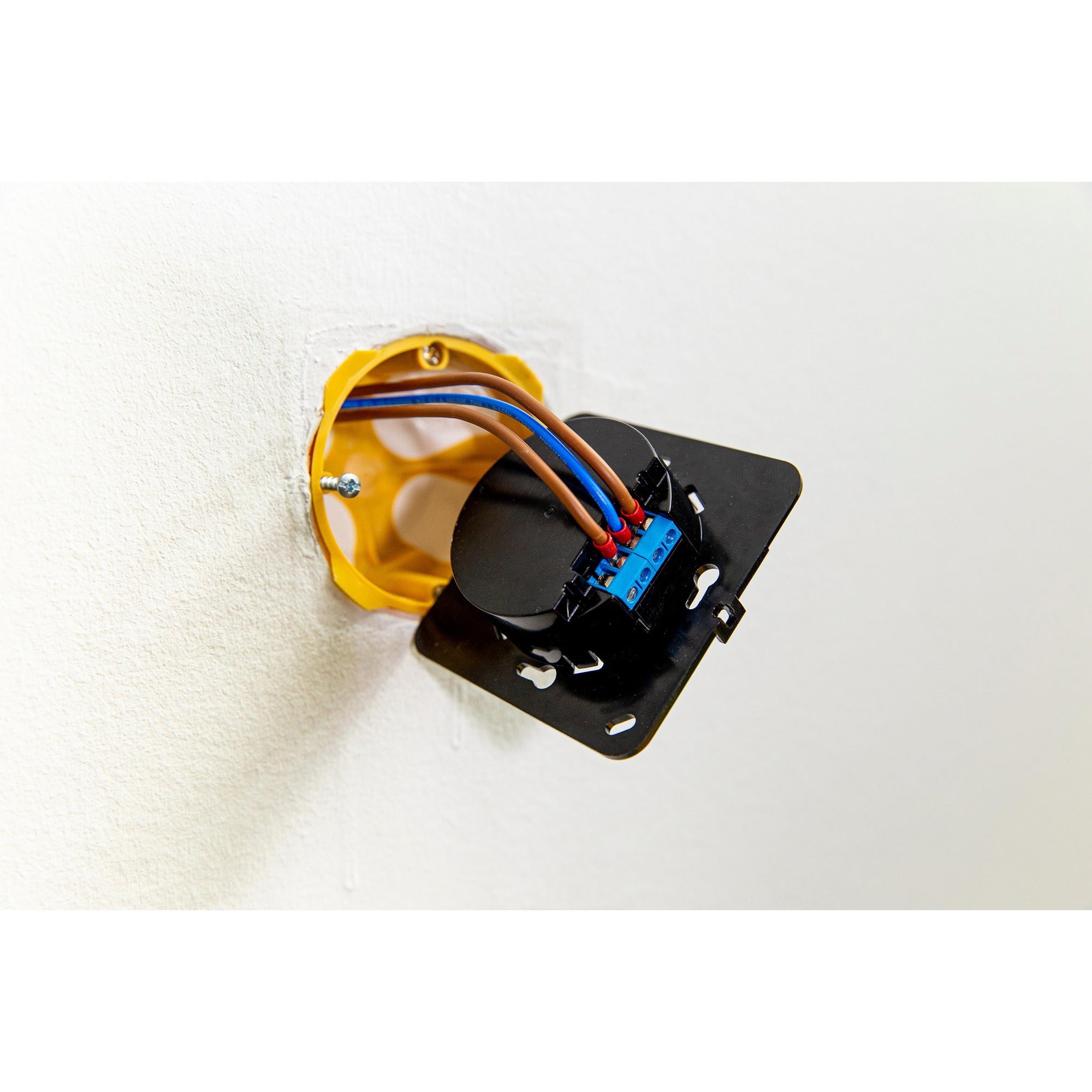 Shelly Wanddisplay Zwart