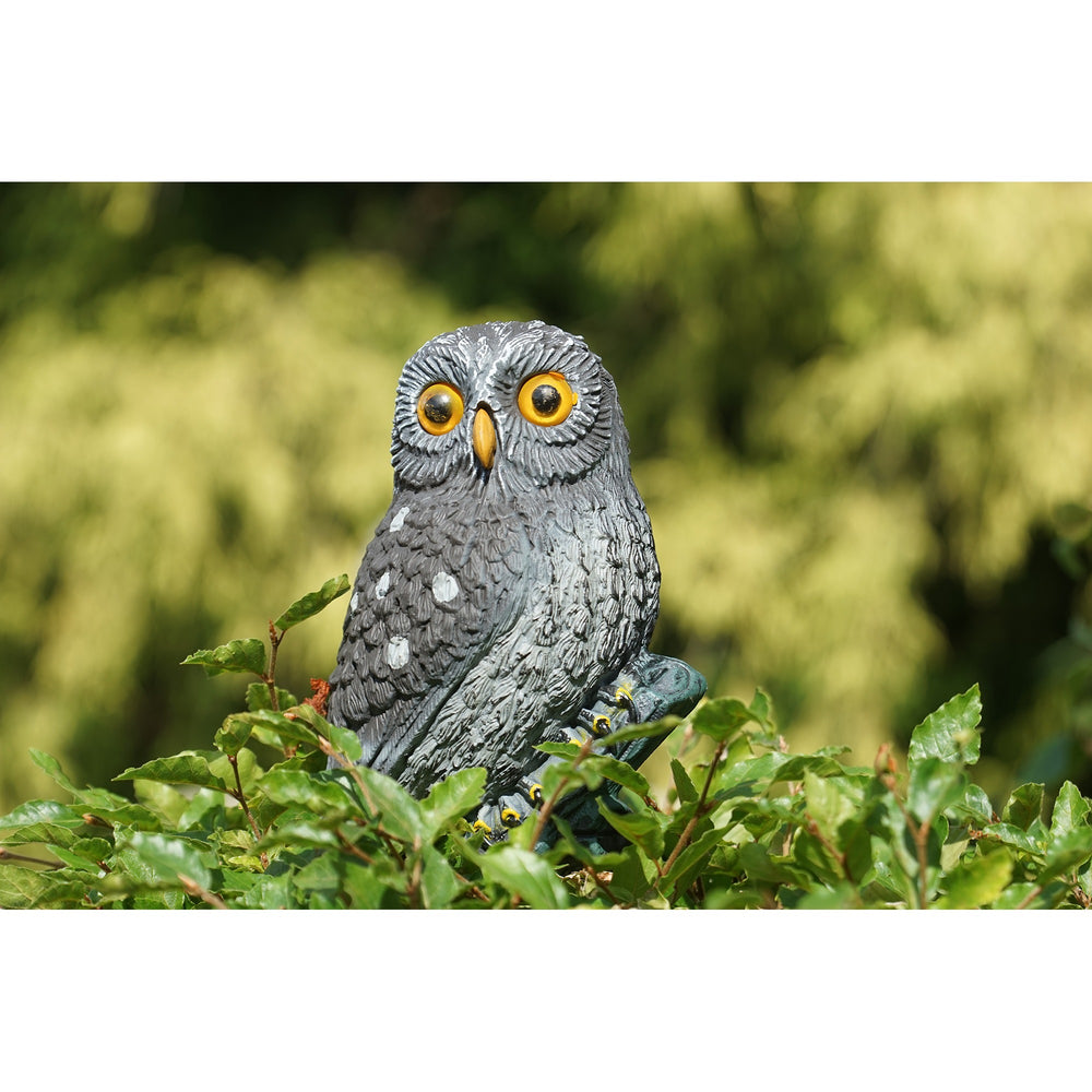 Ubbink kleine uil waterornament