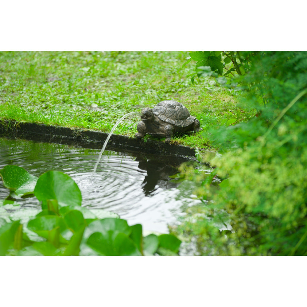 Ubbink spuitfiguur schildpad waterornament
