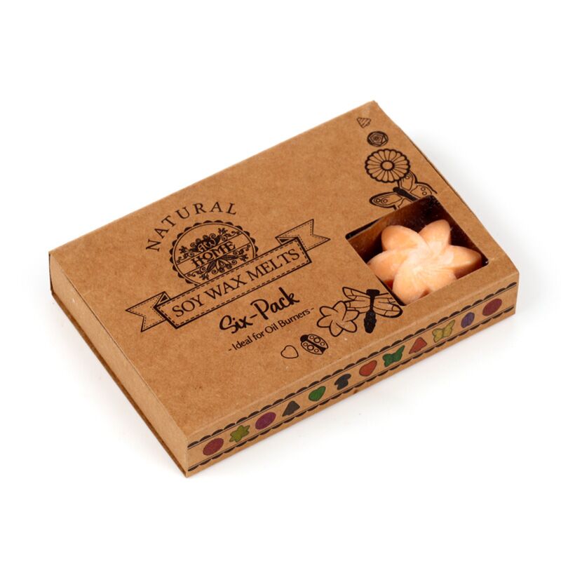 Mangofruitset van 6 waxmelts