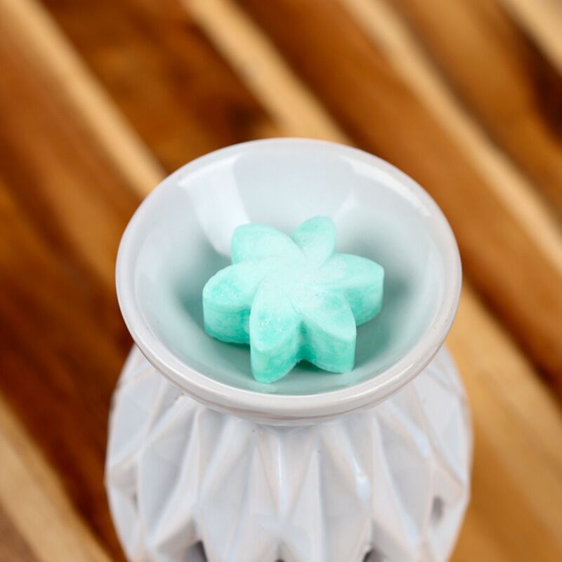 Geheime tuinset van 6 waxmelts