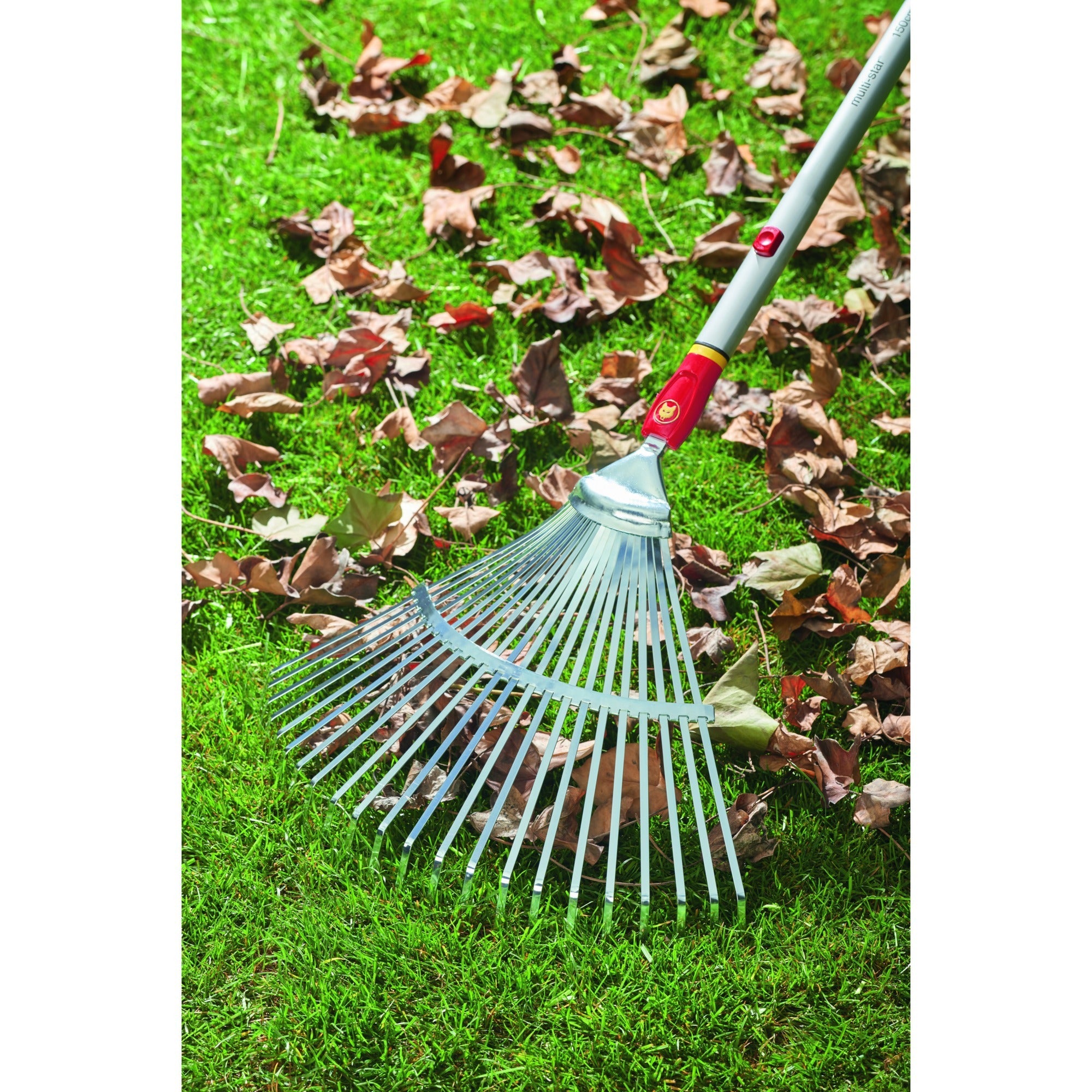 WOLF-Garten WOLF-Garten Meersterren UE-M Bladhark