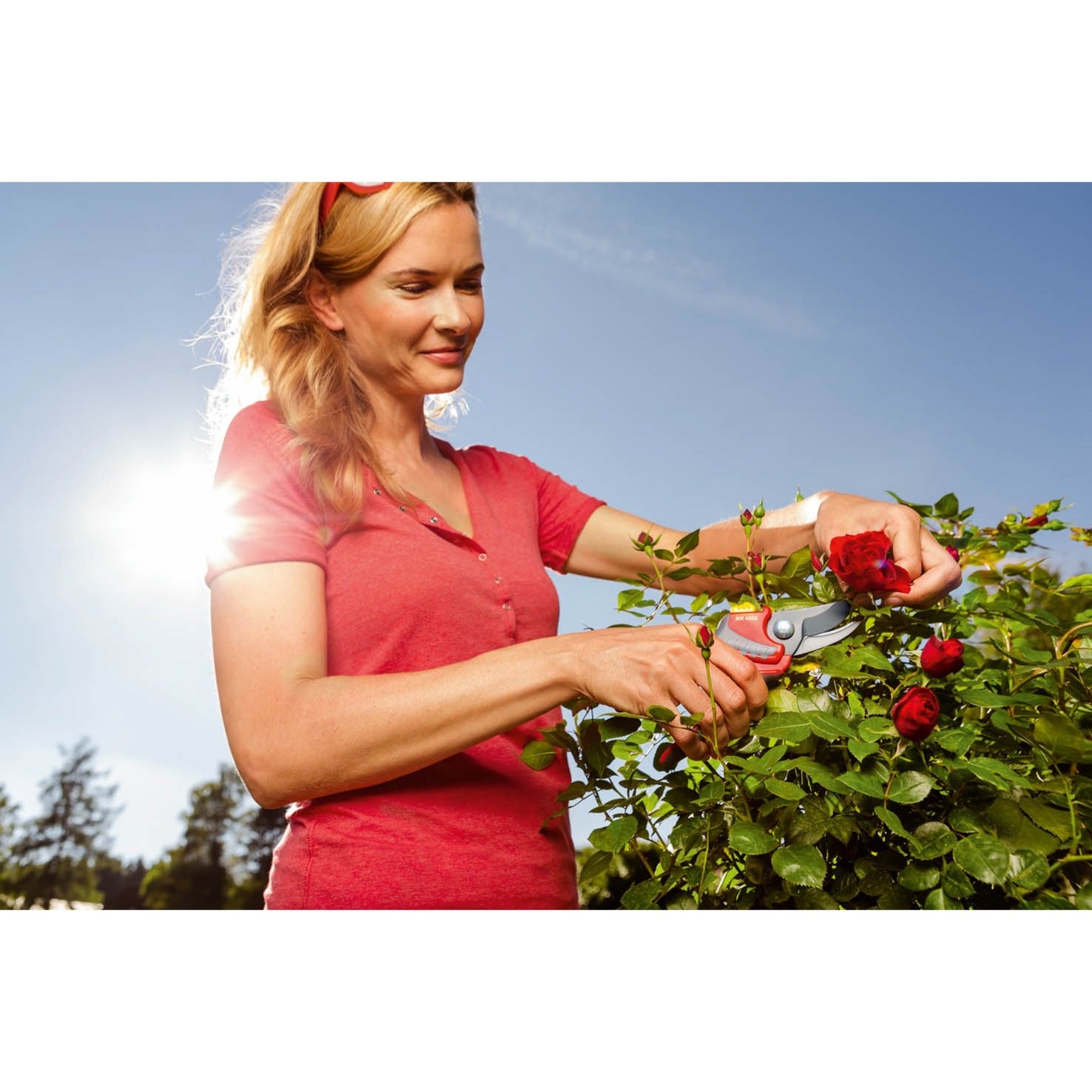 WOLF-Garten WOLF-Garten RR 4000 Snoeischaar Premium Plus