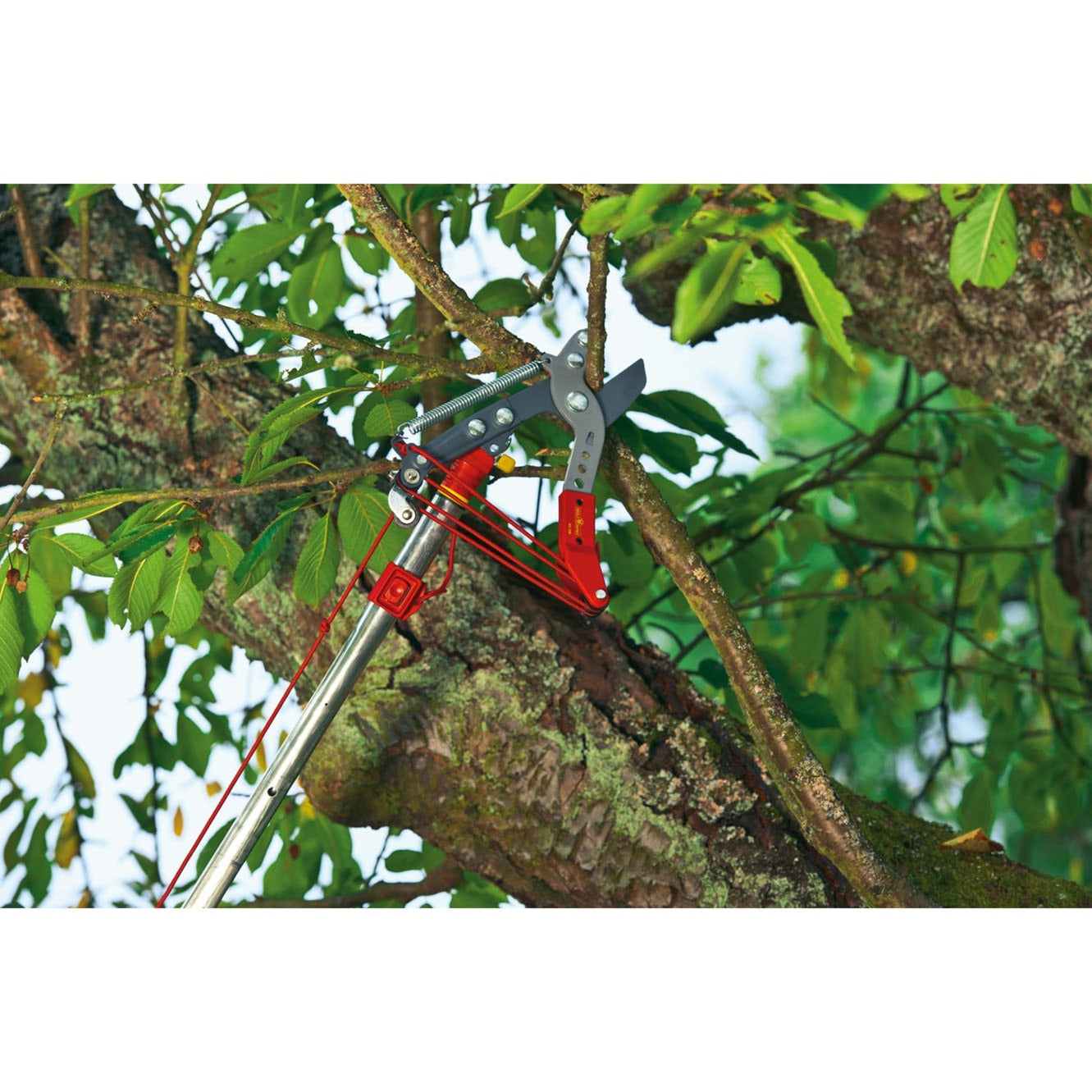 WOLF-Garten WOLF-Garten Multi-star Boomschaar Vario RC-VM