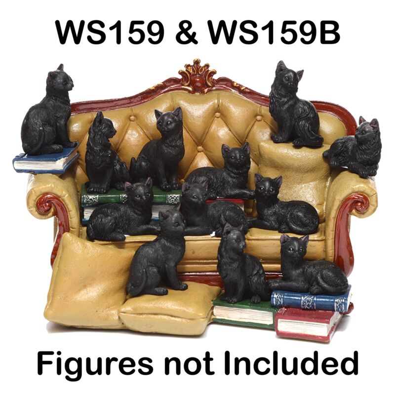 Zwarte kat wereld bankdisplay