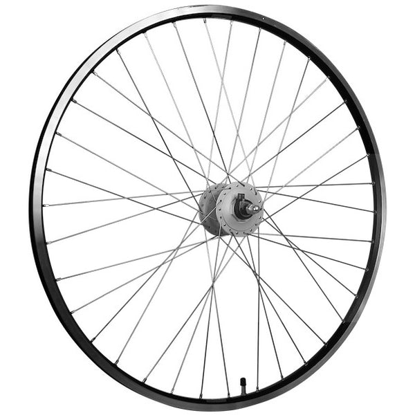 Roland voorwiel 28 ryde zac19 dhc3003 zilveren naaf