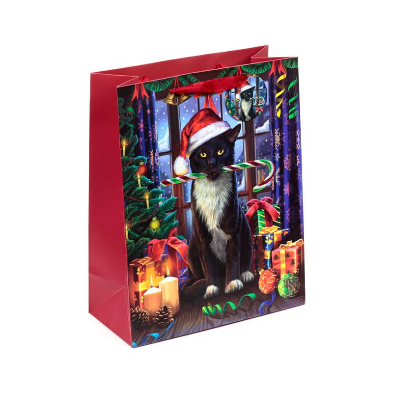 Lisa parker kerst krampus kat cadeautasje groot