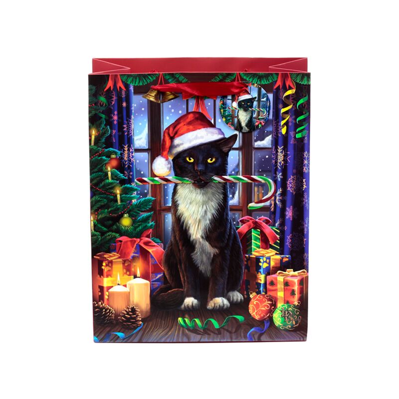 Lisa parker kerst krampus kat cadeautasje groot