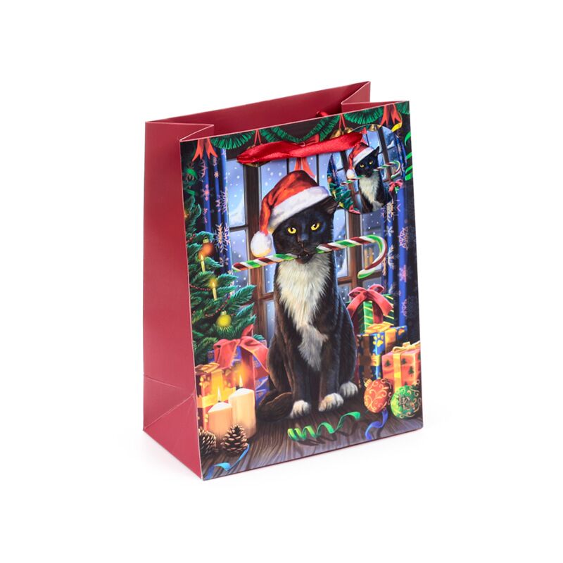 Lisa parker kerstkrampus kat - cadeautasje medium