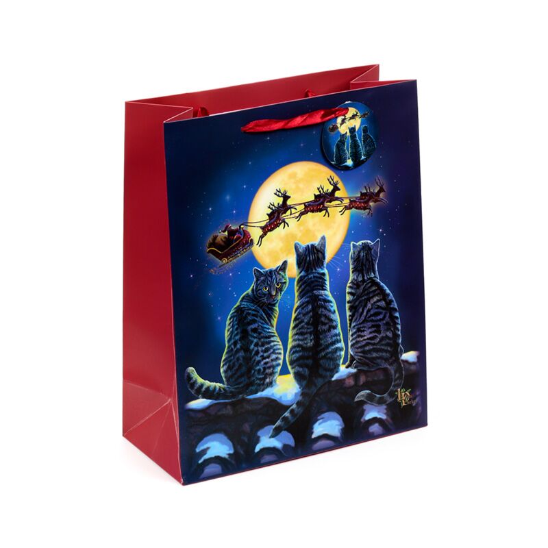 Lisa parker kerstmis katten cadeautasje groot