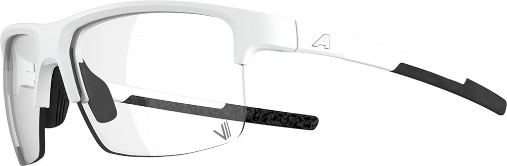 Alpina eagle v - sports glasses