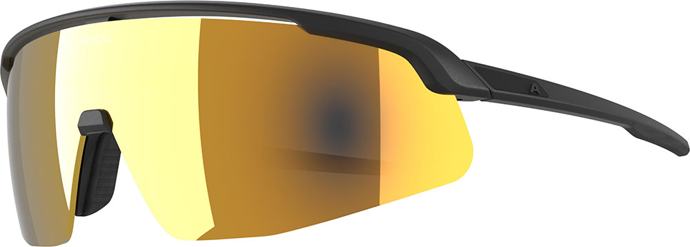 Alpina turbo pro s q - sports glasses