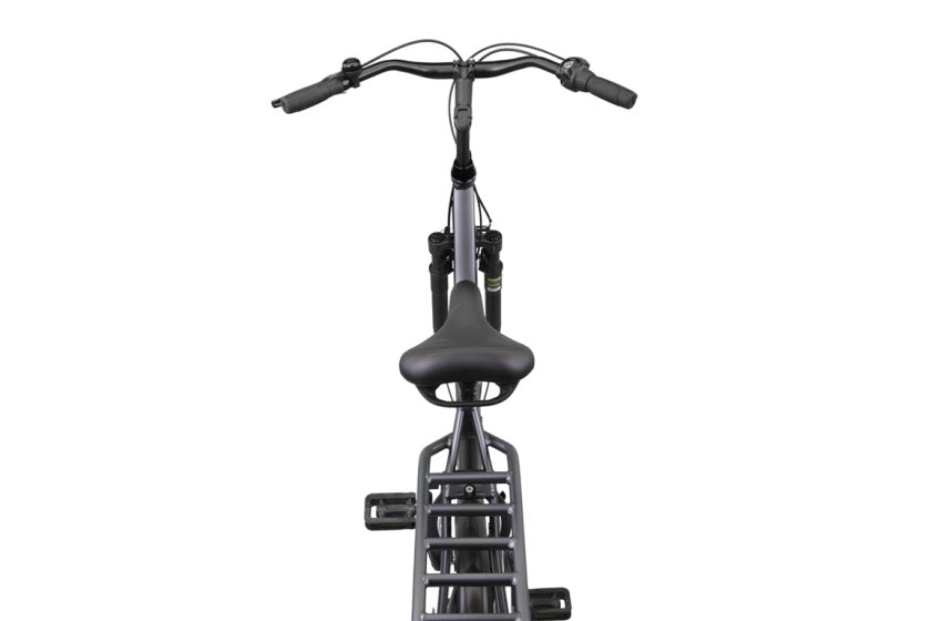 Altec Delta 28 pouces Vélo Femme N-3 56cm Gris Mat