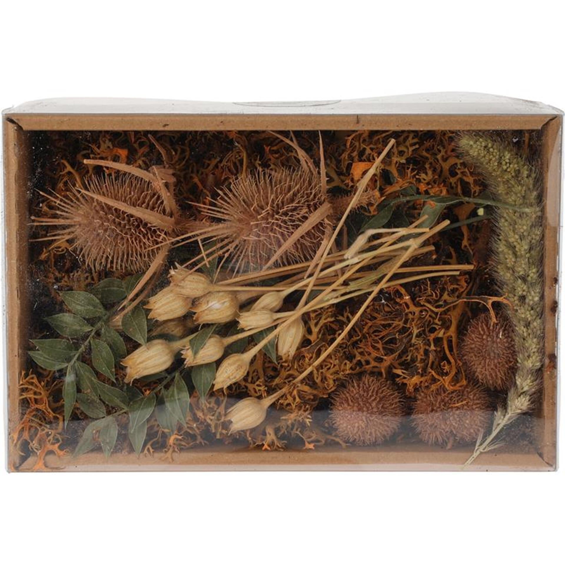 Home styling droogbloemen mix in doosje nature