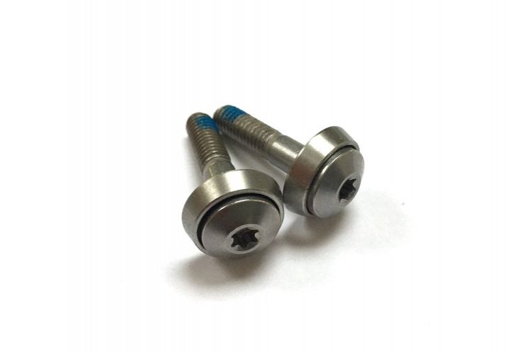 Schroef by,schulz zadelpen g.2 m6 torx t25