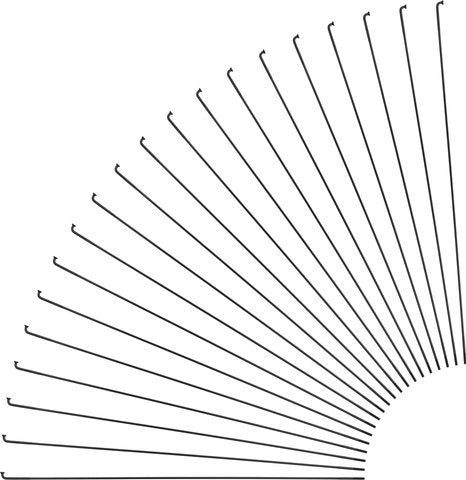 Sapim race j-bend spokes + nipples - 20 pieces