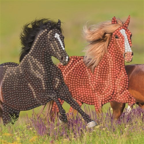 Diamond schilderij paardenkaart maken