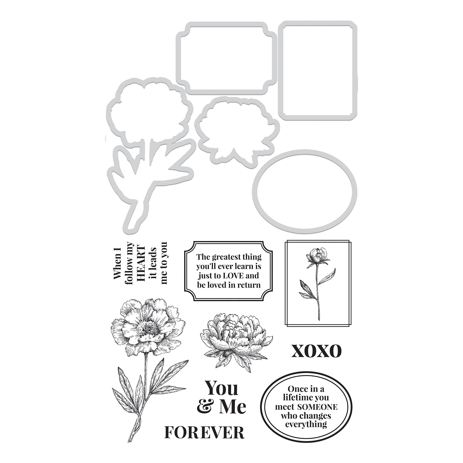 Kaisercraft • decorative die stamp you me