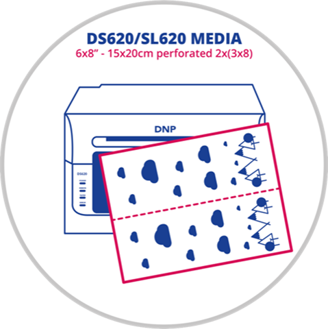 Dnp papier 2 rol � 200 st. 15x20 geperforeerd op 7,5x20 voor ds620