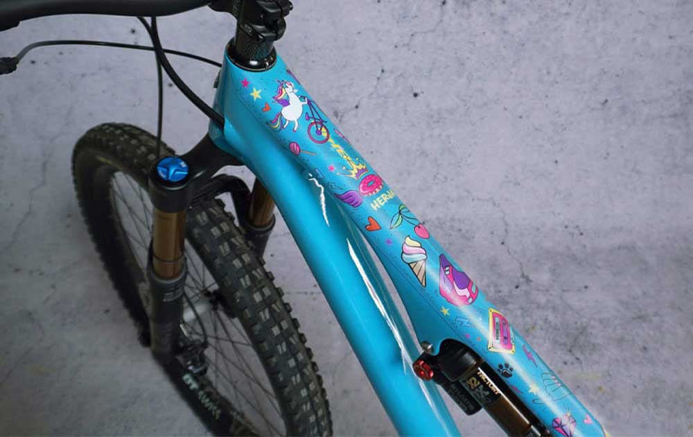 Dyedbro unicorn frame protector kit | glitter
