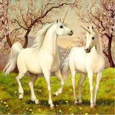 Toi-toys diamond painting - 2 eenhoorns - 30 x 30 cm