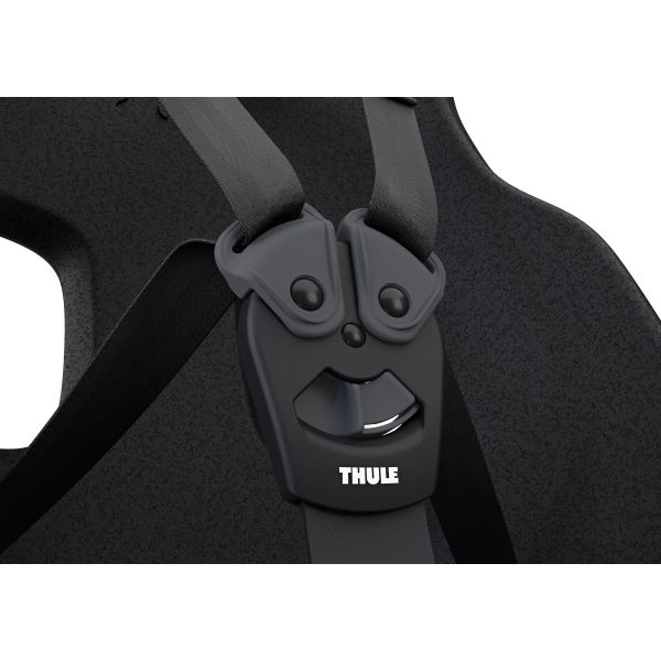 Thule Kinderzitje achter Yepp Nexxt 2 Maxi voor framebevestiging mintgroen