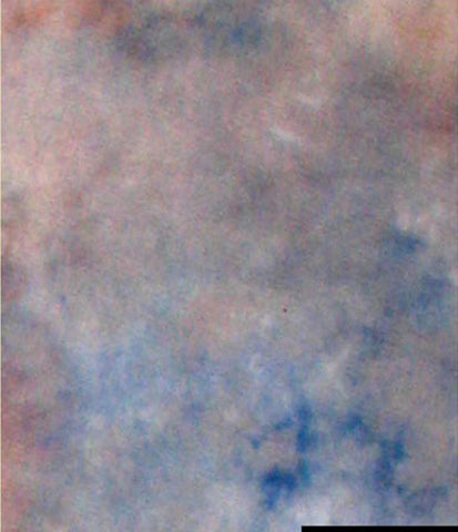 Falcon Eyes Achtergronddoek S122 2,9x7m